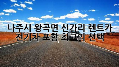 나주시 왕곡면 신가리 렌트카: 전기차 포함 최고의 선택