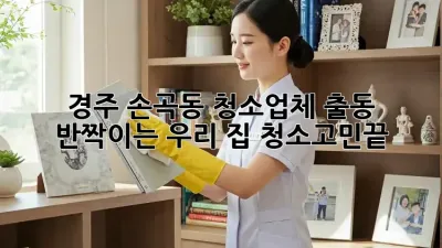 경주 손곡동 청소업체 출동🚨, ✨반짝이는 우리 집✨ #청소고민끝